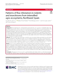 Patterns of Flea Infestation in Rodents and Insectivores from Intensified