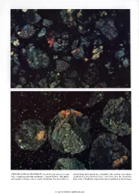 Chondrites and Chondrules