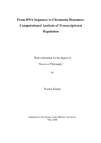 From DNA Sequence to Chromatin Dynamics: Computational Analysis of Transcriptional Regulation