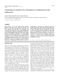 Translocation of Cortactin to the Cell Periphery Is Mediated by the Small Gtpase Rac1