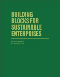 Building Blocks for Sustainable Enterprises12052017.Indd