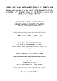 Arachnida, Solifugae) with Special Focus on Functional Analyses and Phylogenetic Interpretations