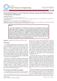 Fat Body Development and Its Function in Energy Storage and Nutrient Sensing in Drosophila Melanogaster