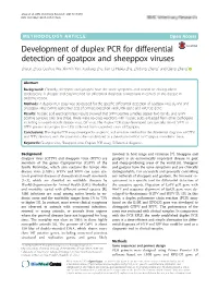 Development of Duplex PCR for Differential Detection of Goatpox And