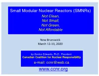 Small Modular Nuclear Reactors (Smnrs) Not Clean, Not Small, Not Green, Not Affordable