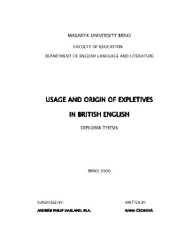 Usage and Origin of Expletives Usage