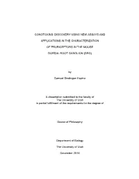 Conotoxins: Discovery Using New Assays And