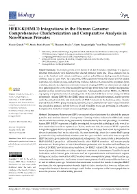 HERV-K(HML7) Integrations in the Human Genome: Comprehensive Characterization and Comparative Analysis in Non-Human Primates