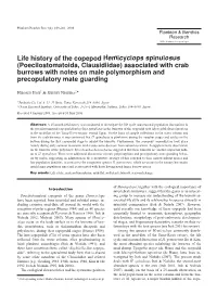 Life History of the Copepod Hemicyclops Spinulosus (Poecilostomatoida, Clausidiidae) Associated with Crab Burrows with Notes On