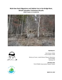 Mule Deer Buck Migrations and Habitat Use in the Bridge River, British Columbia: Preliminary Results (FWCP Project # 12.W.BRG.03)