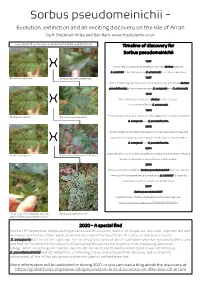 Sorbus Pseudomeinichii - Evolution, Extinction and an Exciting Discovery on the Isle of Arran