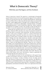 What Is Democratic Theory?