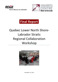 Final Report