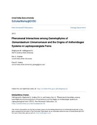 Pheromonal Interactions Among Gametophytes of &lt;I&gt;Osmundastrum