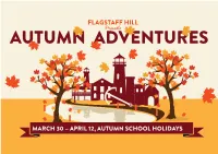 FSH Activity Book.Pdf