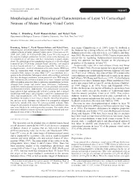 Morphological and Physiological Characterization of Layer VI Corticofugal Neurons of Mouse Primary Visual Cortex