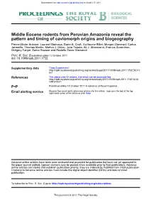 Pattern and Timing of Caviomorph Origins and Biogeography Middle