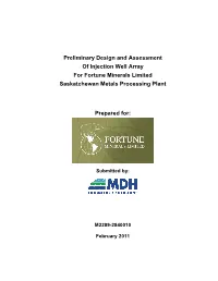 Preliminary Design and Assessment of Injection Well Array for Fortune Minerals Limited Saskatchewan Metals Processing Plant