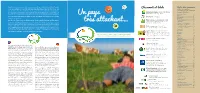 Un Pays Très Attachant…