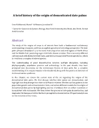 A Brief History of the Origin of Domesticated Date Palms