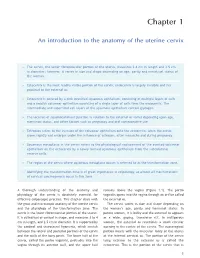 An Introduction to the Anatomy of the Uterine Cervix