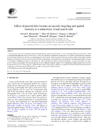 Effect of Parietal Lobe Lesions on Saccade Targeting and Spatial Memory in a Naturalistic Visual Search Task Steven S