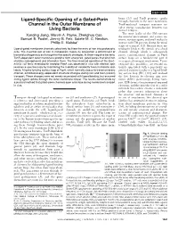Ligand-Specific Opening of a Gated