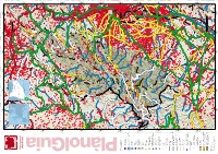 Link De Descàrrega (PDF)
