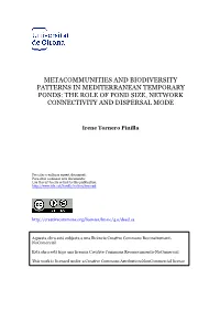 Metacommunities and Biodiversity Patterns in Mediterranean Temporary Ponds: the Role of Pond Size, Network Connectivity and Dispersal Mode