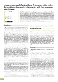 On a New Species of Chaetomidium, C. Vicugnae, with a Cephalothecoid