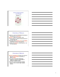 Overview of Meiosis
