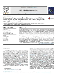 Phylogeny and Expression Analysis of C-Reactive Protein (CRP) and Serum Amyloid-P (SAP) Like Genes Reveal Two Distinct Groups in ﬁsh