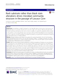 Rock Substrate Rather Than Black Stain Alterations Drives Microbial