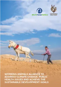 Working Animals Alliance Concept Note
