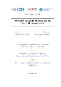 Trophic Cascade Modelling in Bathyal Ecosystems