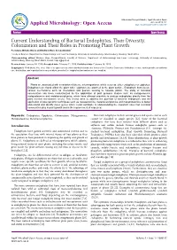 Current Understanding of Bacterial Endophytes, Their Diversity