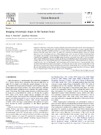 Imaging Retinotopic Maps in the Human Brain ⇑ Brian A