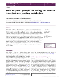 Malic Enzyme 1 (ME1) in the Biology of Cancer: It Is Not Just Intermediary Metabolism