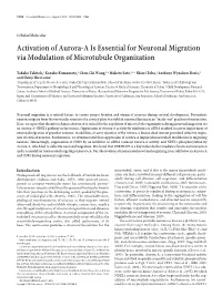 Activation of Aurora-A Is Essential for Neuronal Migration Via Modulation of Microtubule Organization