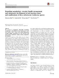 Branching Morphology, Vascular Bundle Arrangement and Ontogenetic Development in Leaf Insertion Zones and Ramiﬁcations of Three Arborescent Araliaceae Species