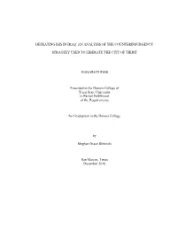 Defeating Isis in Iraq: an Analysis of the Counterinsurgency