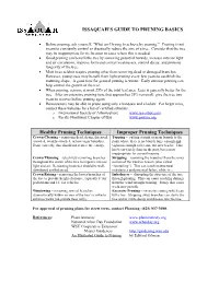 Issaquah's Guide to Pruning Basics