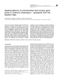Spatial Patterns of Mitochondrial and Nuclear Gene Pools in Chamois (Rupicapra R