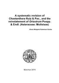 The Systematic Revision of Chaetanthera Ruiz & Pav., and The