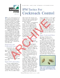 Cockroach Control