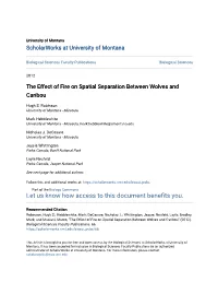 The Effect of Fire on Spatial Separation Between Wolves and Caribou