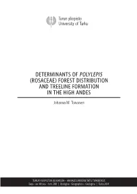 Determinants of Polylepis (Rosaceae) Forest Distribution and Treeline Formation in the High Andes