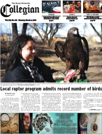Local Raptor Program Admits Record Number of Birds