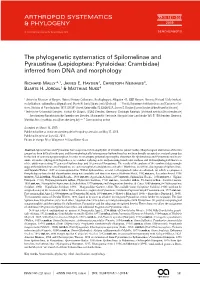 The Phylogenetic Systematics of Spilomelinae and Pyraustinae (Lepidoptera: Pyraloidea: Crambidae) Inferred from DNA and Morphology