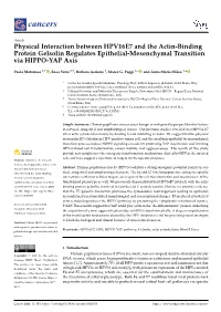 Physical Interaction Between HPV16E7 and the Actin-Binding Protein Gelsolin Regulates Epithelial-Mesenchymal Transition Via HIPPO-YAP Axis